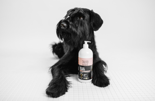 Can I use my own shampoo for my dog or cat?