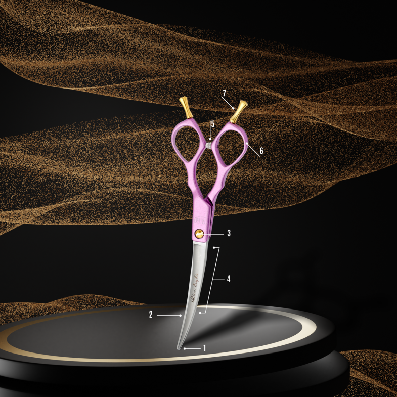 ANATOMIE VAN SCHAREN