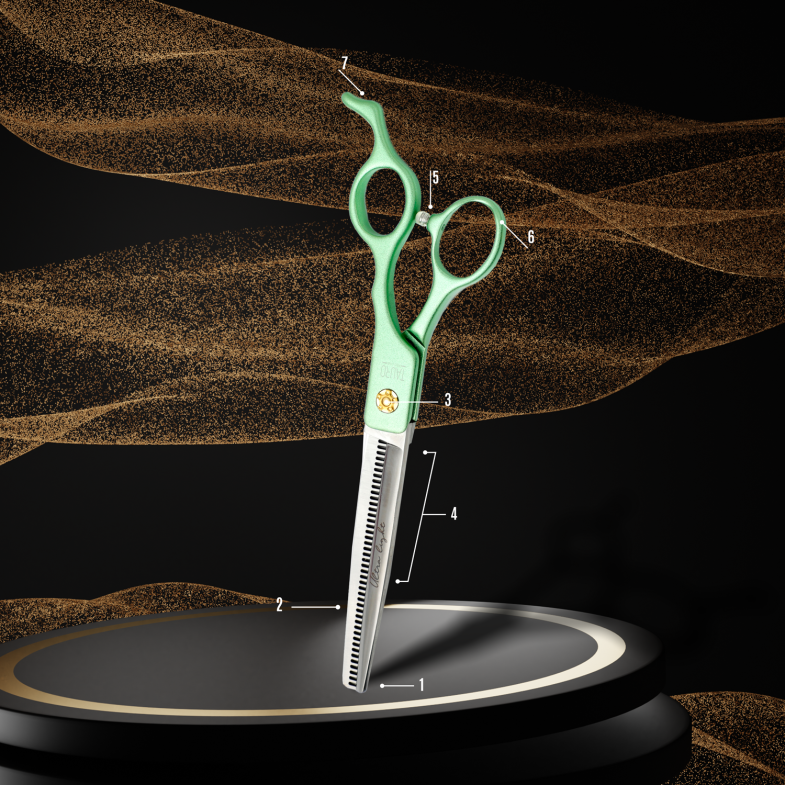 ANATOMIE VAN SCHAREN