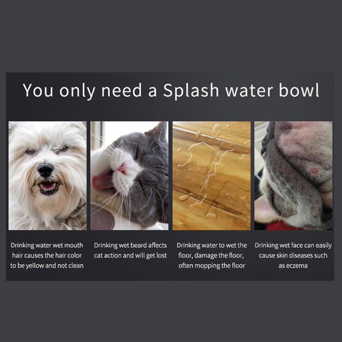 bowl for water - 3