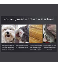 bowl for water
