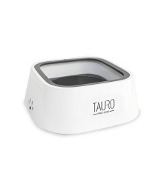 bowl for water