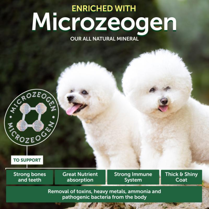 complementary grain free feed - snacks to support healthy growth and development with insects for junior all breed dogs with white coat - 4