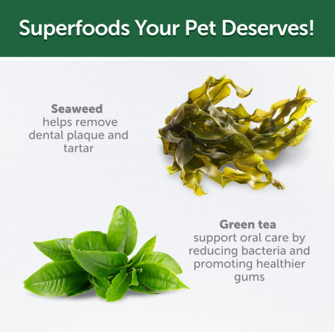 complementary grain free feed - snacks to support healthy growth and development with insects for junior all breed dogs with white coat - 7