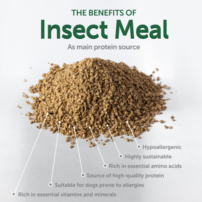 complementary grain free feed - snacks for free gums and oral care with insects for junior all breed dogs with red coat - 3