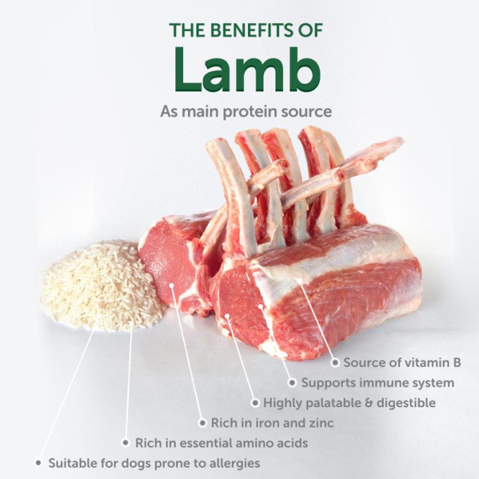 dry food for adult, small and mini breed dogs with white coat, with lamb - 1