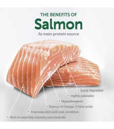 dry grain free food for junior dogs of all breeds with white coat, with salmon