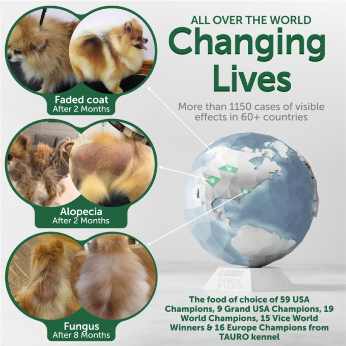 dry grain free food for adult dogs of small breeds with red coat, with lamb  - 3