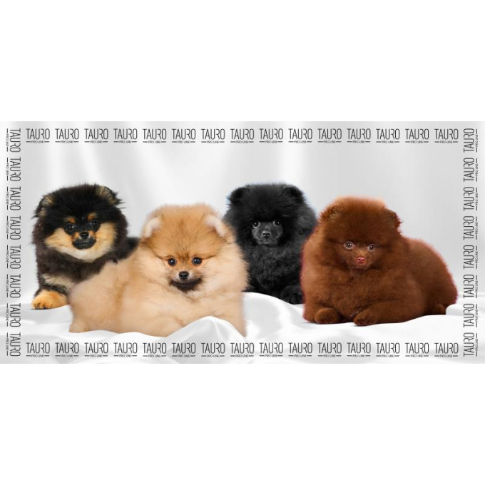 microfiber towel, highly moisture-absorbing, 80x160 cm - 3