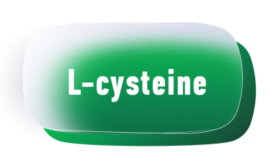 L - cysteïne