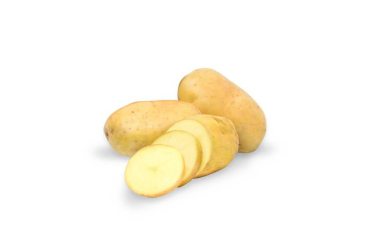 Potato Protein