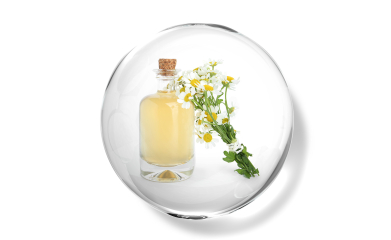 Chamomile flower oil
