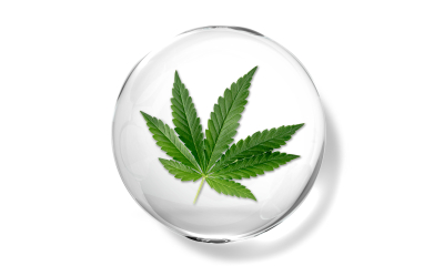 Hemp Oil