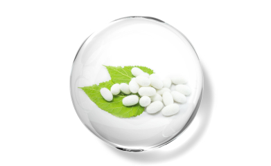 Hydrolyzed Silk 