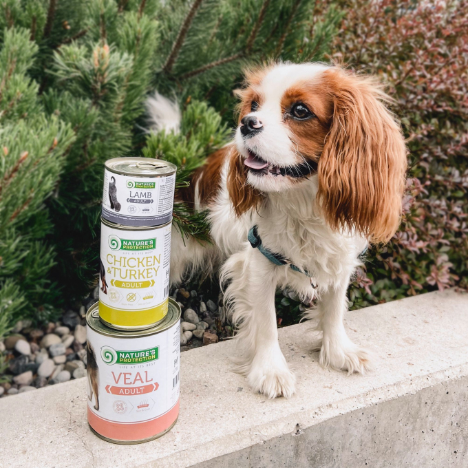 Canned food for dogs - 4