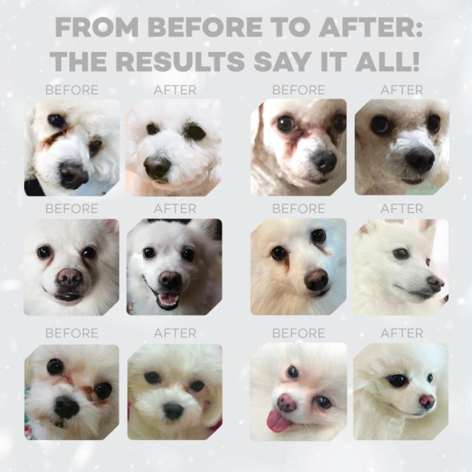 dry grain free food for junior dogs of all breeds with white coat, with salmon - 9