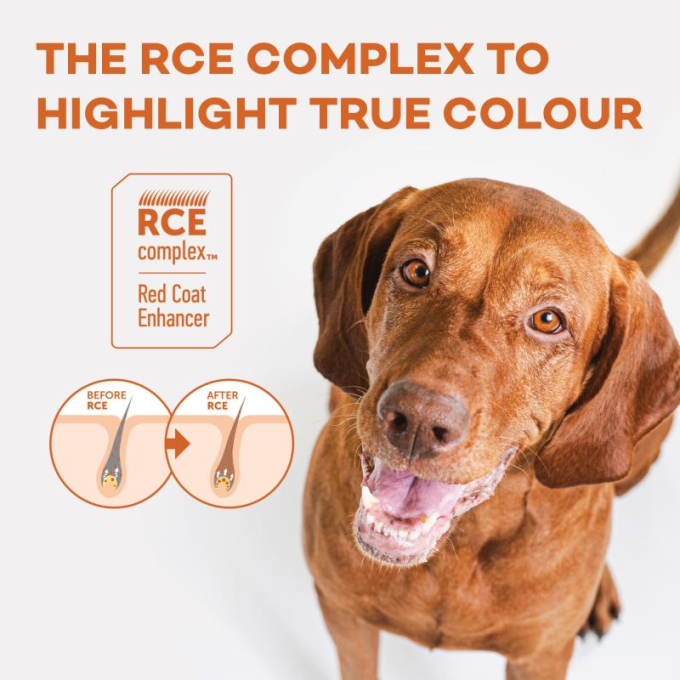 Red Coat Grain Free Salmon Adult Droogvoer voor honden van kleine rassen - 6