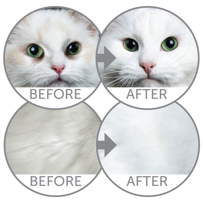 dry grain free pet food with herring for adult all breed cats with white coat - 11