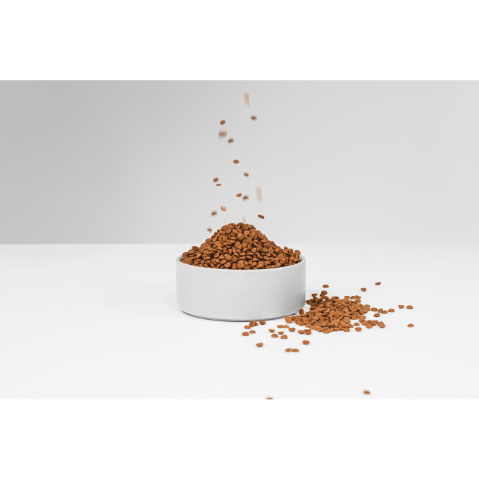 droogvoer zonder granen voor volwassen honden van kleine rassen met rode vacht, met lam  - 6