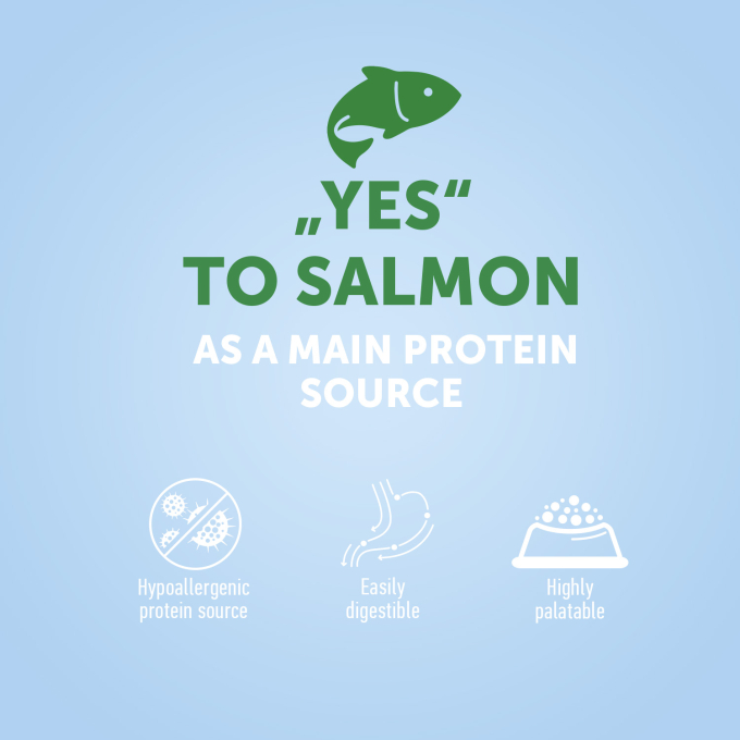 dry food for adult small breed dogs with salmon - 3