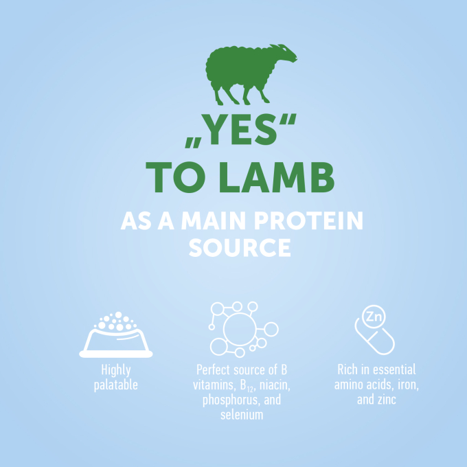 dry food for adult dogs of all breeds with lamb - 2