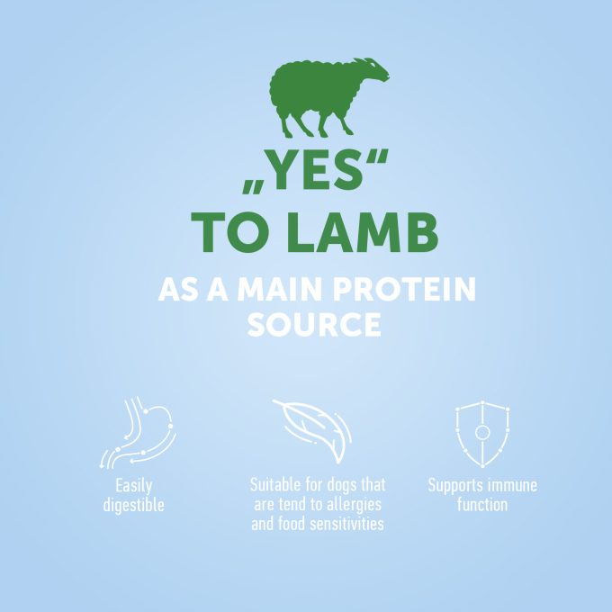 dry food for adult dogs of all breeds with lamb - 3