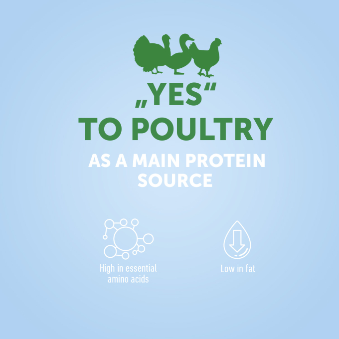 dry food for adult small breed dogs with poultry and krill - 2