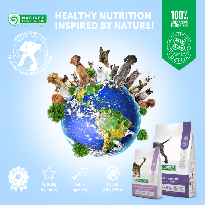 dry food for adult small breed dogs with salmon - 4