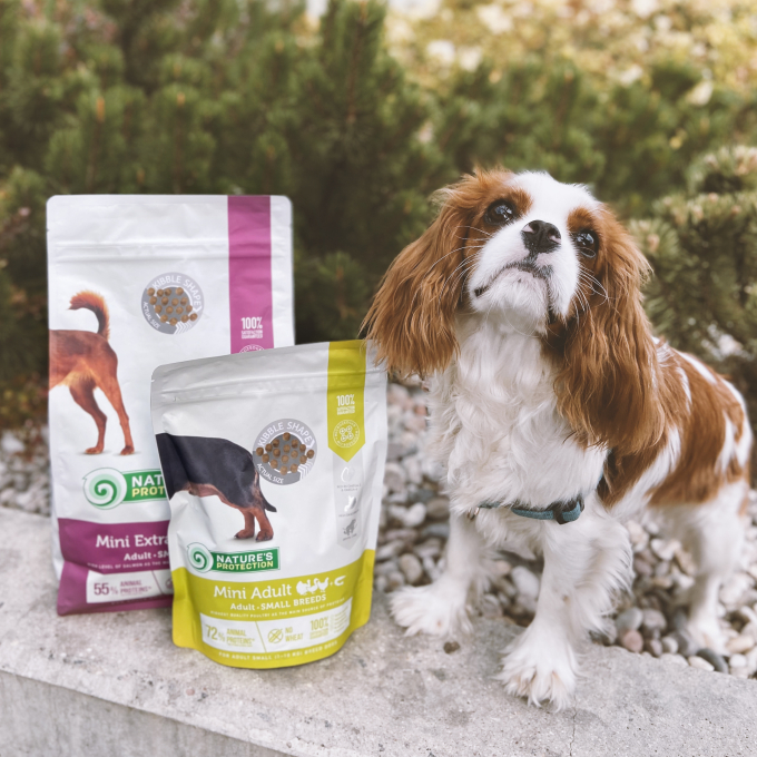 dry food for adult small breed dogs with salmon - 8