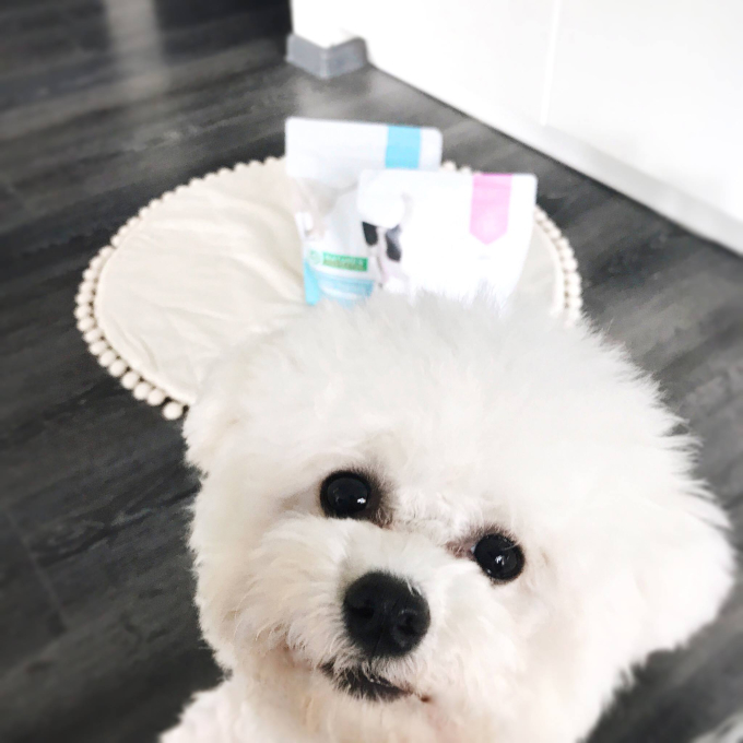 dry food for junior all breed dogs with poultry - 8