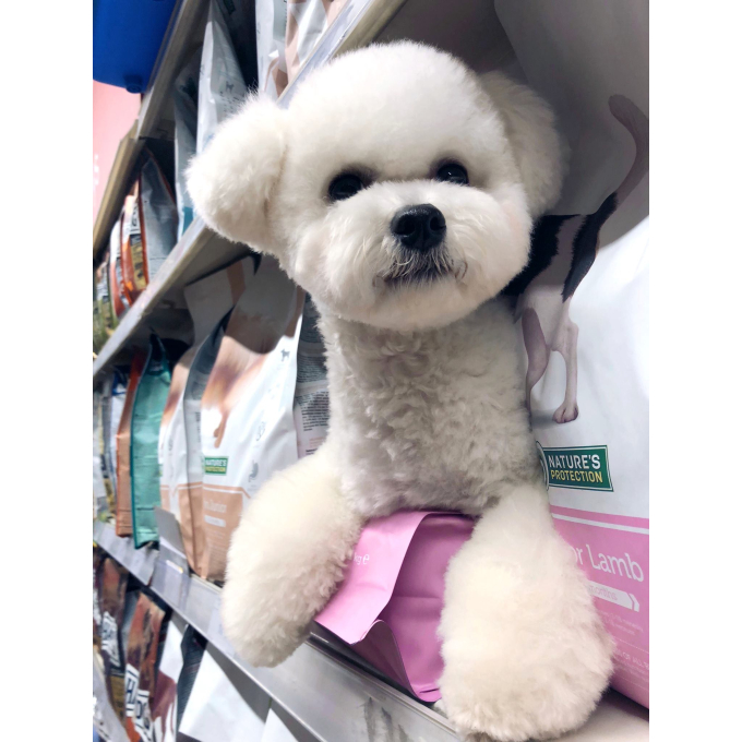 dry food for junior all breed dogs with lamb - 8