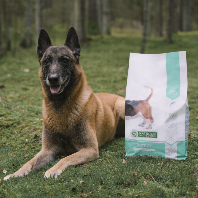 dry food for senior dogs of all breeds with poultry - 7