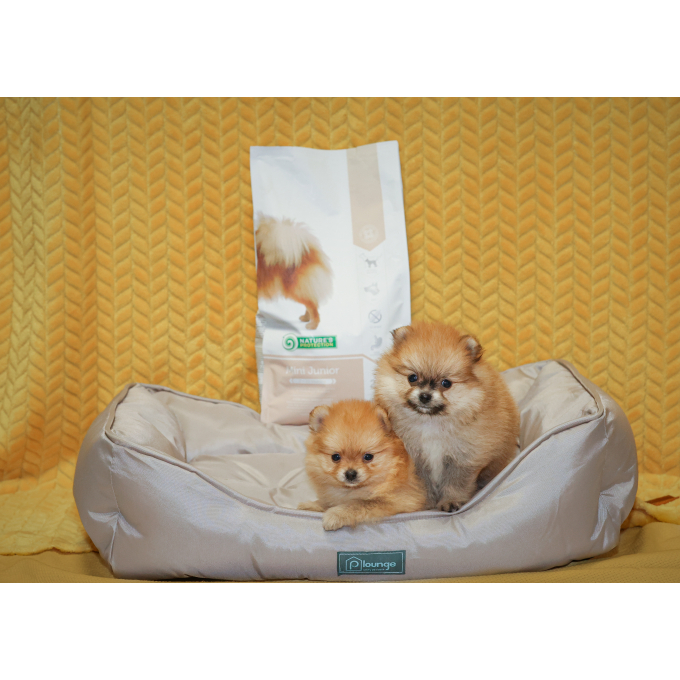 dry food for junior small breed dogs with poultry - 8