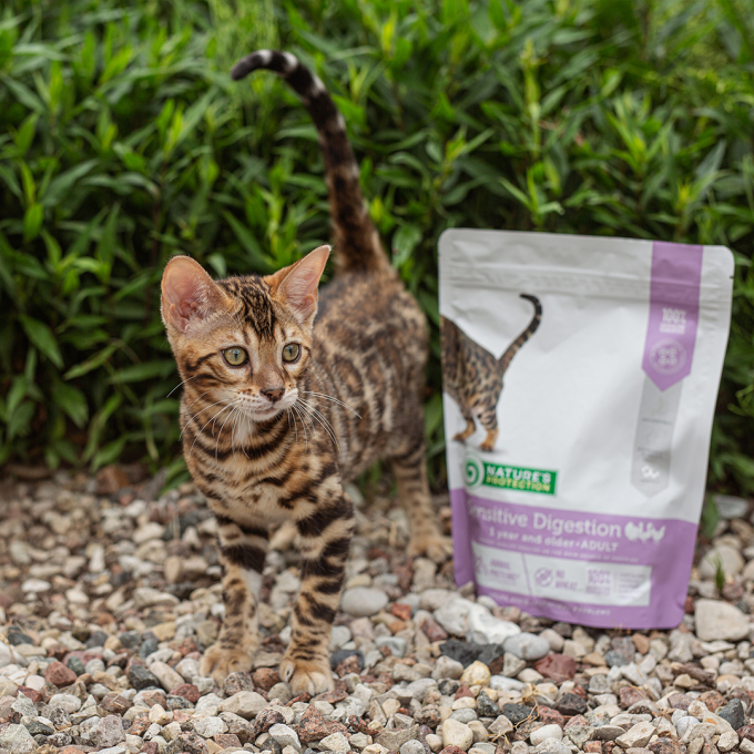 dry food for adult sensitive cats with poultry - 8