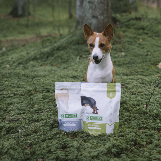 dry food for adult small breed dogs with poultry and krill - 9