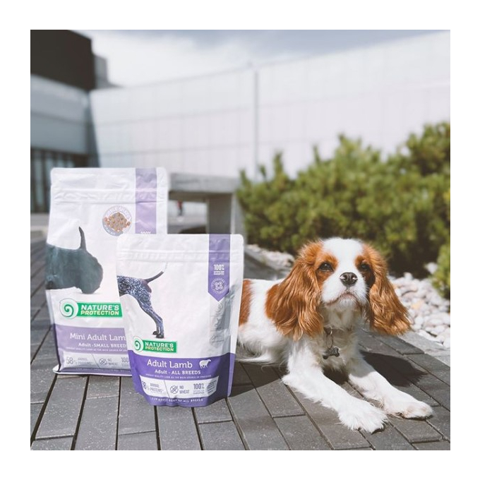 dry food for adult dogs of all breeds with lamb - 8