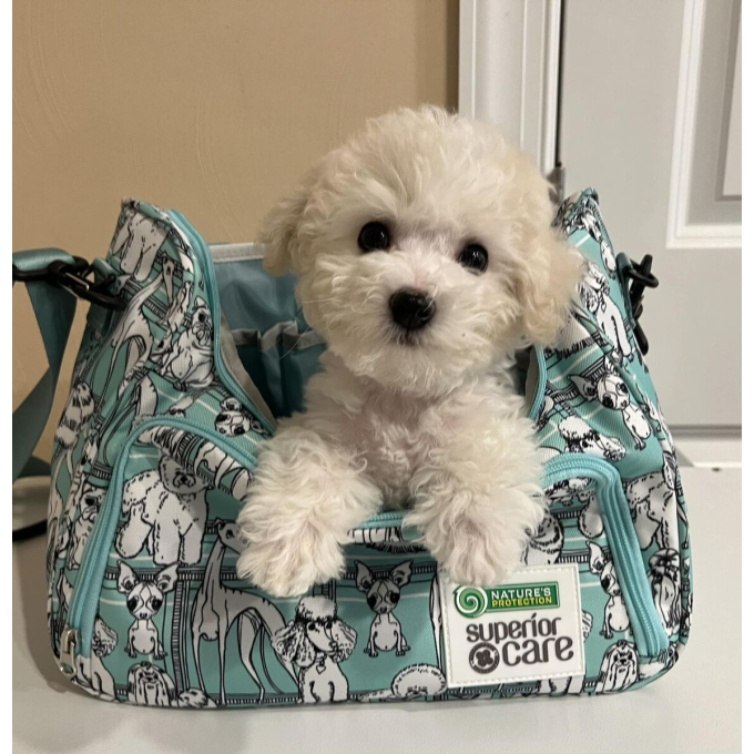 bag for groomers - 6
