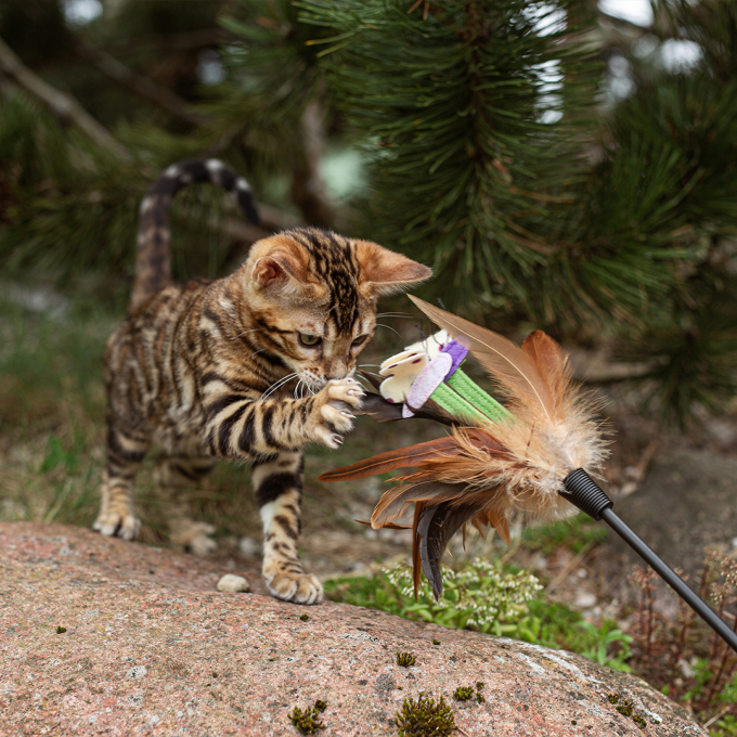canned pet food for junior cats with turkey and rabbit - 3