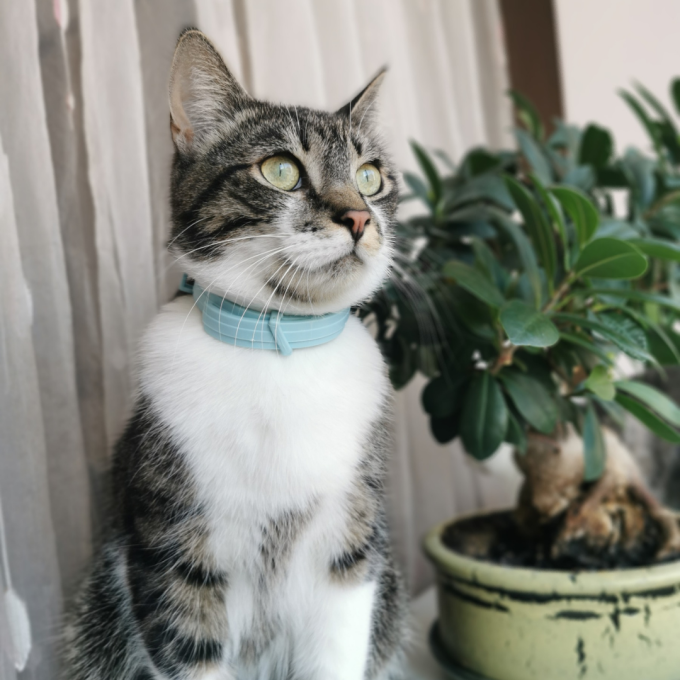 Malt paste, paste for cats promoting hair removal, - 3