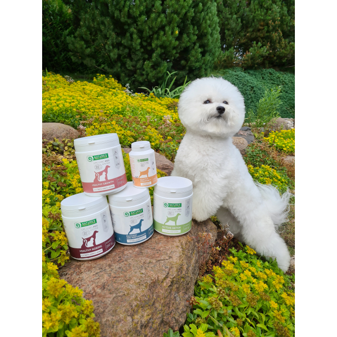 complementary feed for adult dogs and cats for maintaining energy levels and body recovery - 2