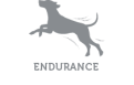 Unique icon 0 complementary feed for adult dogs and cats for maintaining energy levels and body recovery