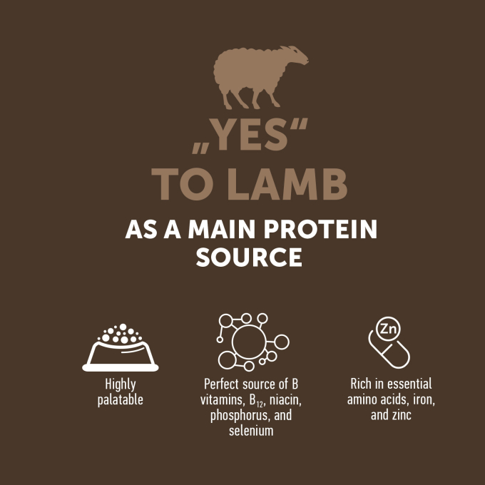 dry grain free food for adult dogs of all breeds - 3