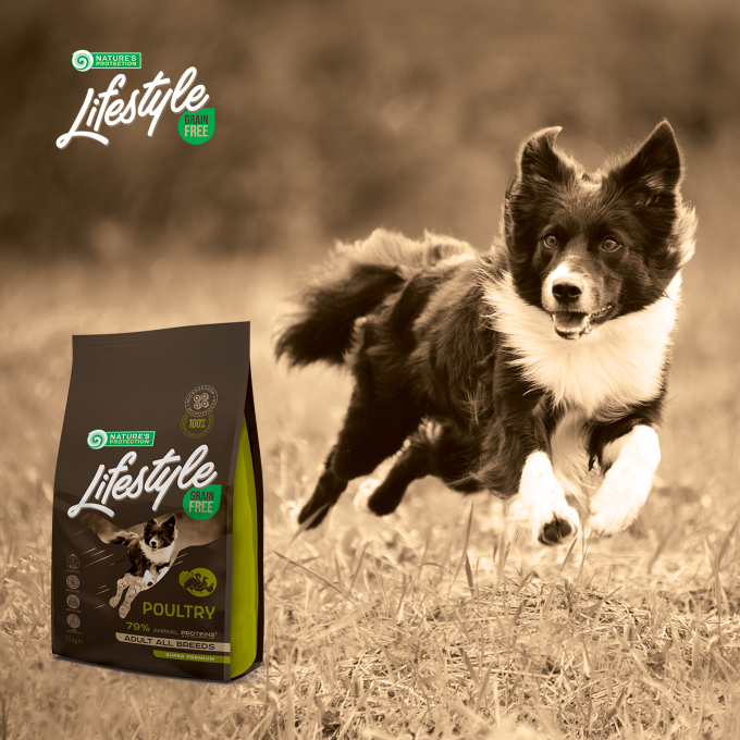 dry grain free food for adult dogs of all breeds with poultry - 7