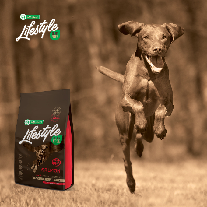 dry grain free food for adult dogs of all breeds with salmon - 8