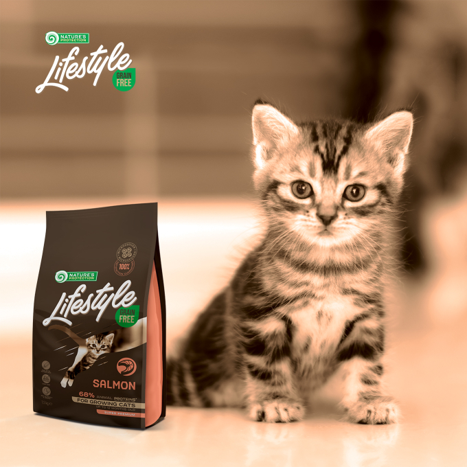 dry grain free food for kittens with salmon - 4