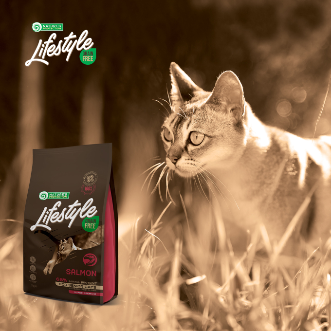 dry grain free food for senior cats with salmon - 6