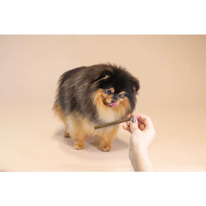 complementary grain free feed – snacks for junior dogs with salmon - 3