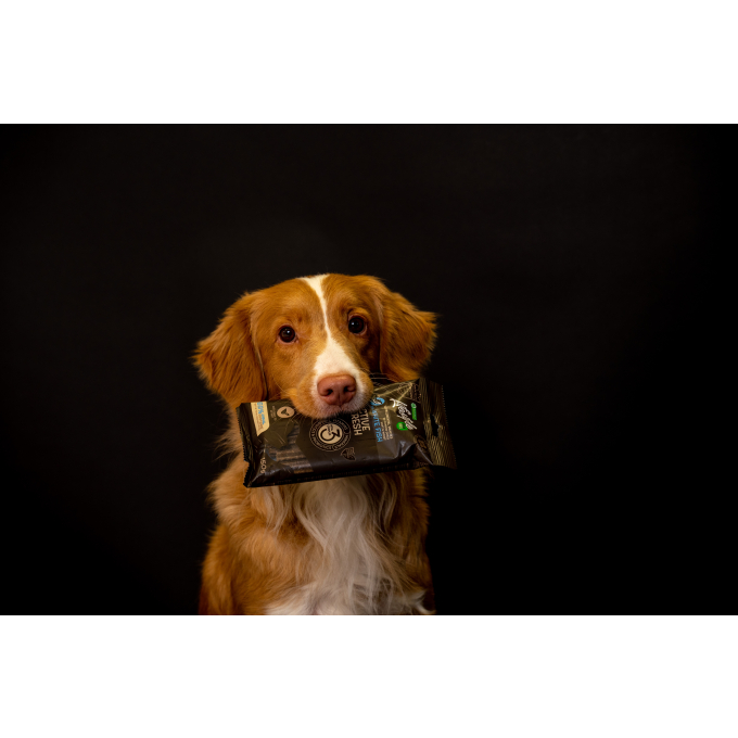 complementary grain free feed – snacks for adult dogs with salmon - 3