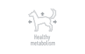 Unique icon 3 complementary grain free feed – snacks for adult dogs with salmon