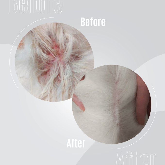 Pure Nature Calming Elixir No. 3 - 4